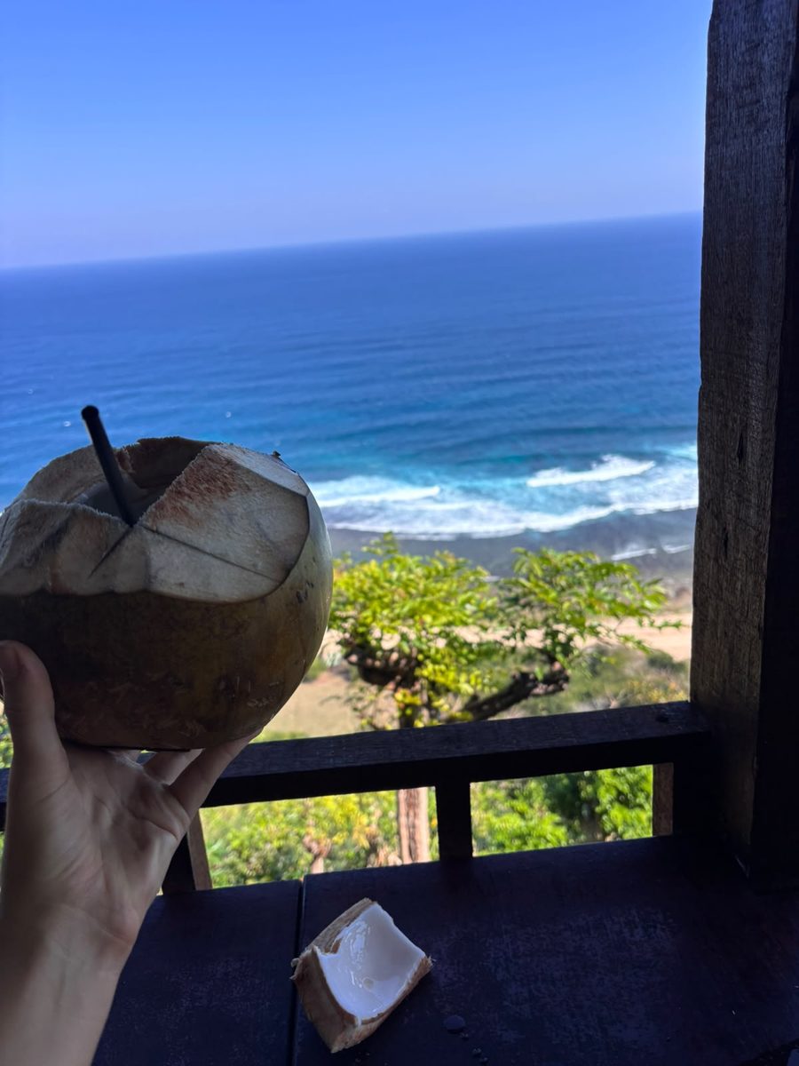 Coconut with an ocean view